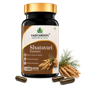 Pack Of 1