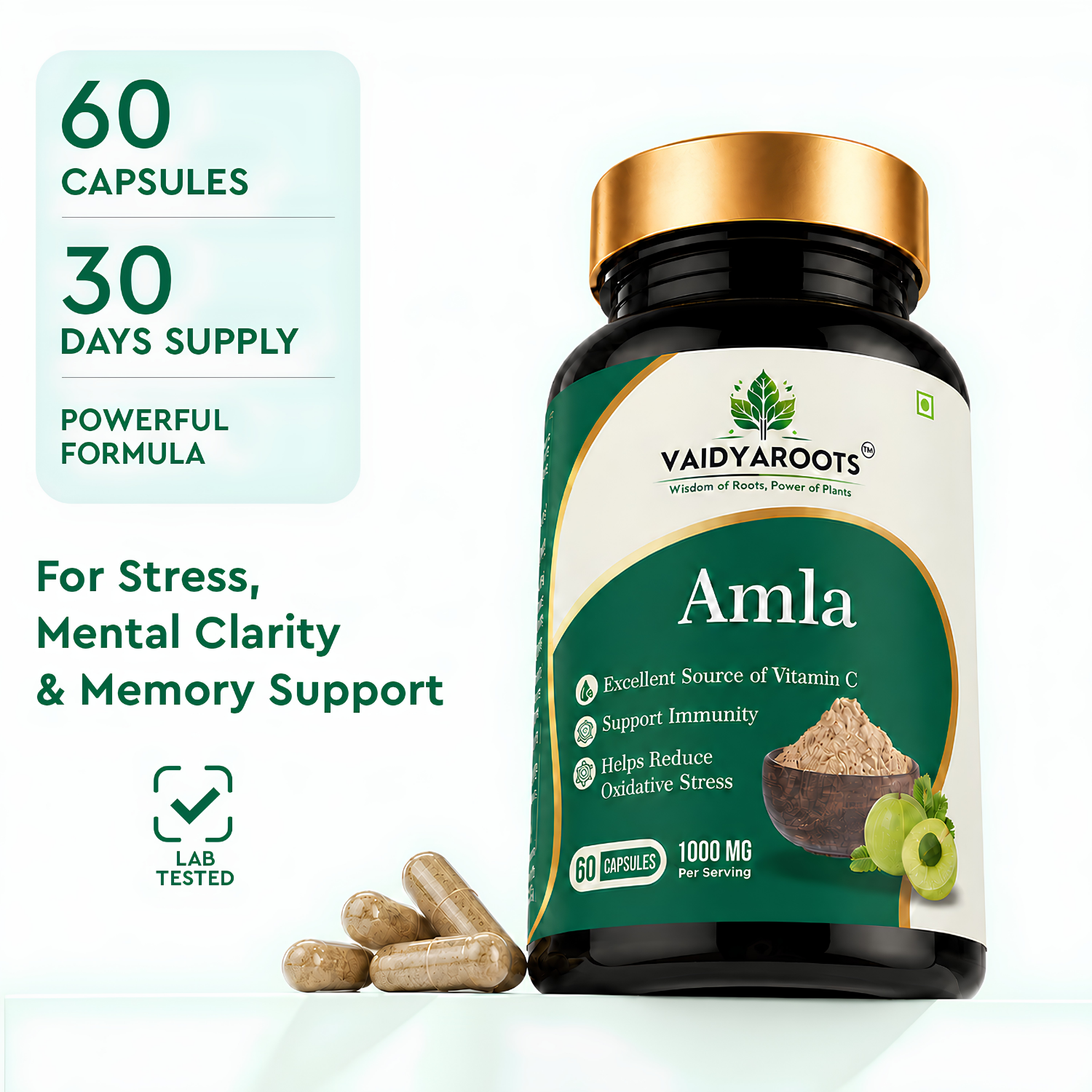 VaidyaRoots Amla Capsules | Concentrated Vitamin C & Immunity Support