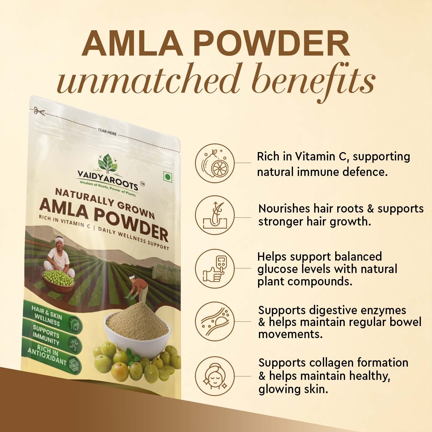 VaidyaRoots Amla Powder View 10