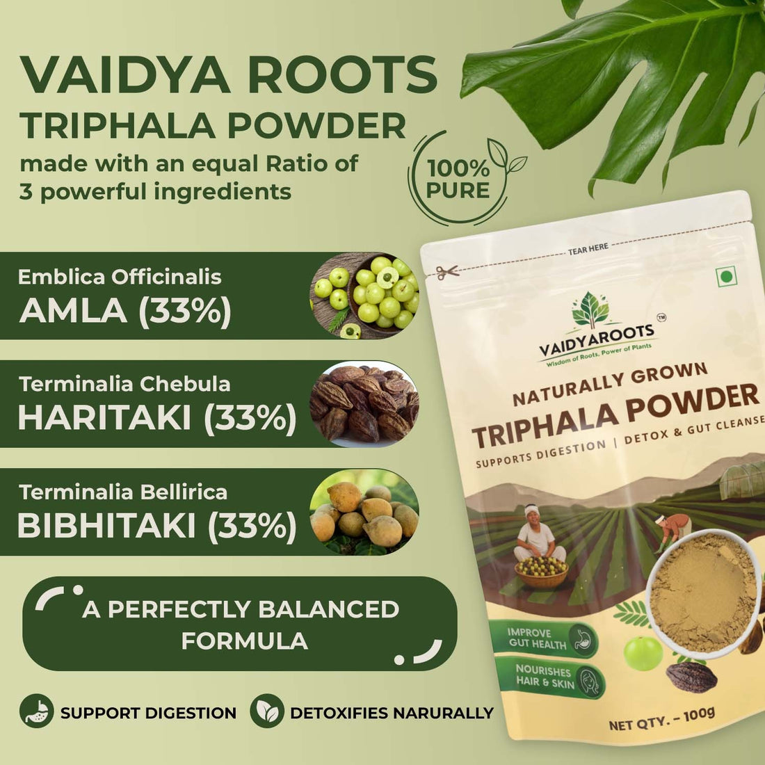 VaidyaRoots Triphala Powder Front View